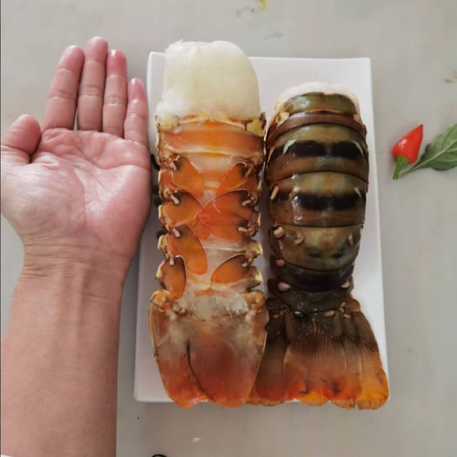 Great value lobster tails! Only 100 servings per day.