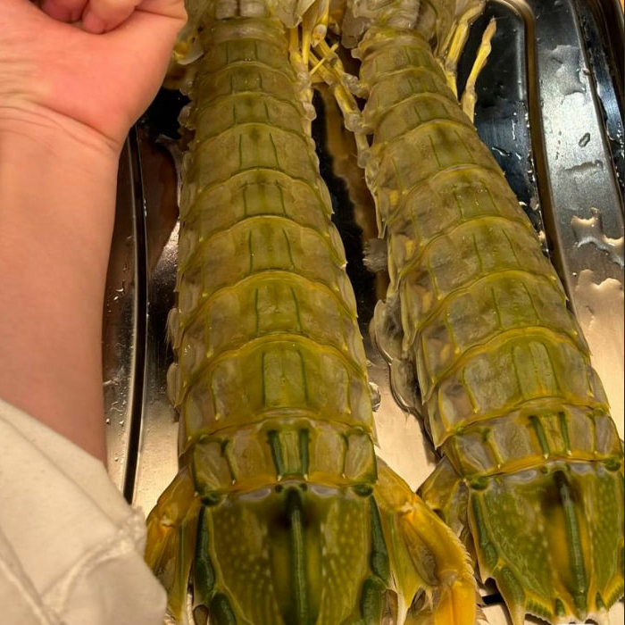 Fresh Mantis Shrimp (Xia Ba / 虾婆) – Wild Caught, Large Size