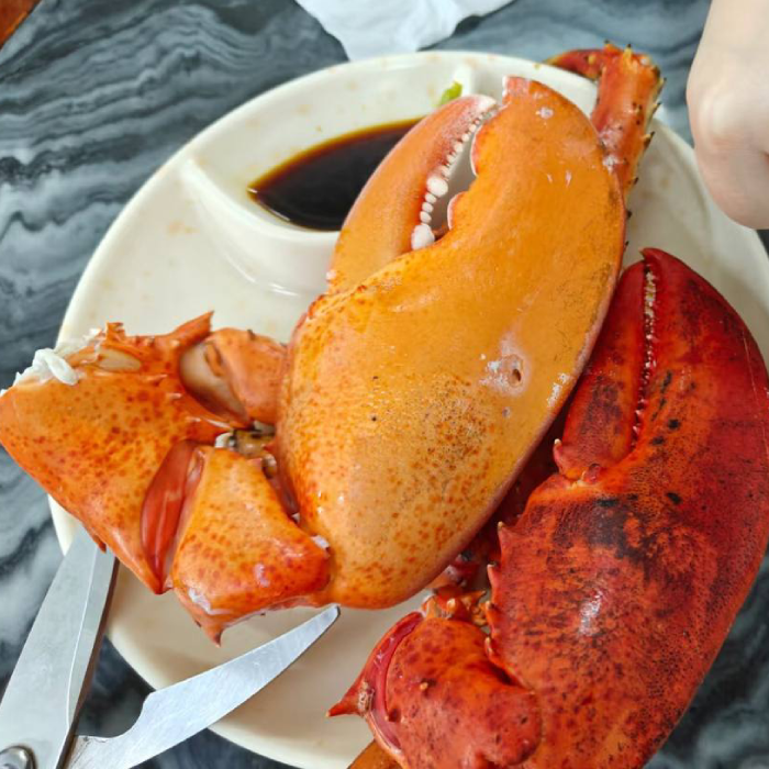 LIMITED EDITION: Giant Deep-Sea Lobster Pincers 🔥 Hurry up!