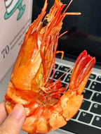Top-grade/Grilled Dried Shrimp