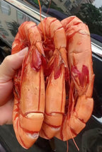 Top-grade/Grilled Dried Shrimp