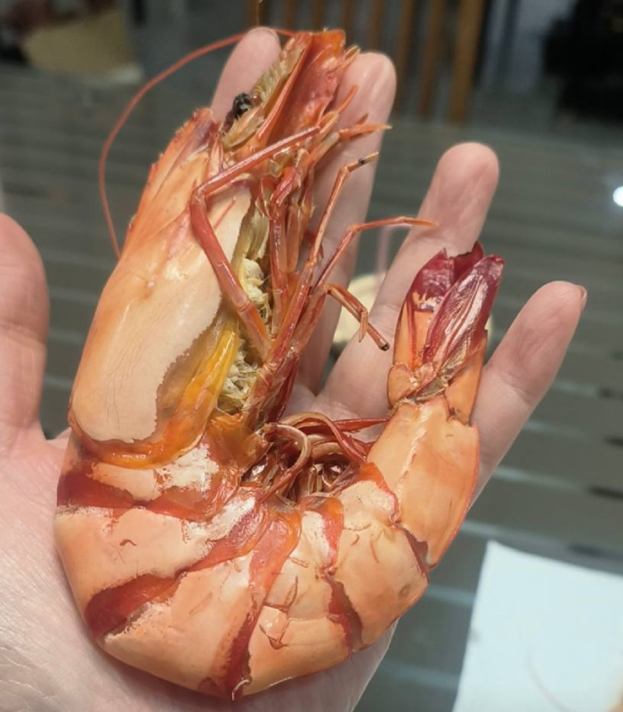 Top-grade/Grilled Dried Shrimp